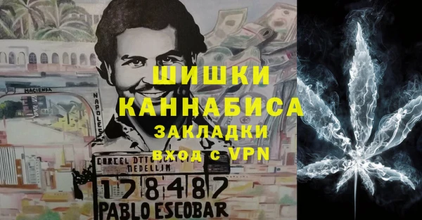 гидра Мегион