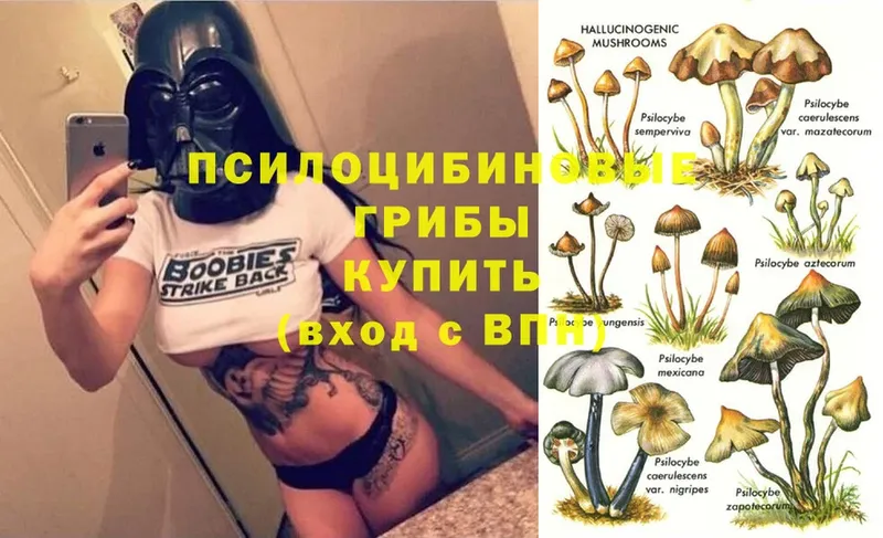 Псилоцибиновые грибы Magic Shrooms  Новоульяновск 